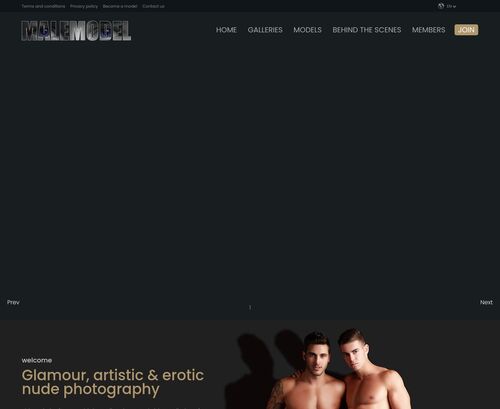 Review screenshot malemodel.nl