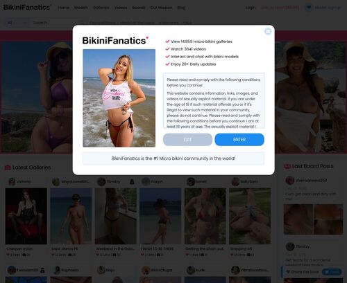 Review screenshot bikinifanatics.com