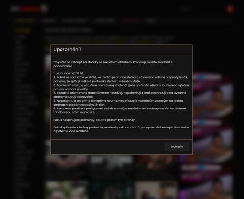Review screenshot Myporno.cz