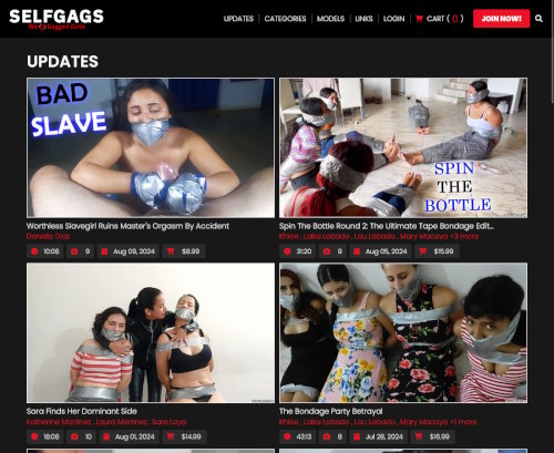 A Review Screenshot of Selfgags