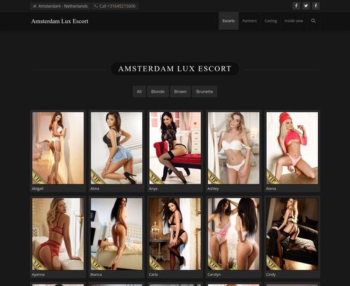 A Review Screenshot of Amsterdam Lux Escort