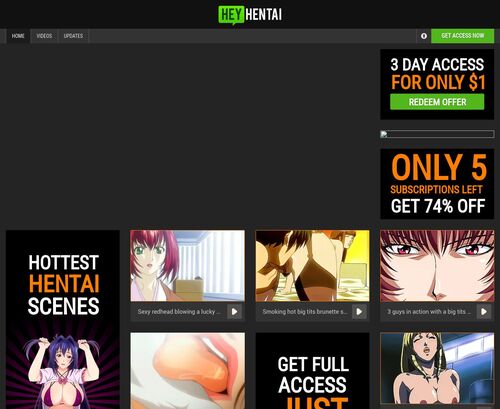 A Review Screenshot of Hey Hentai