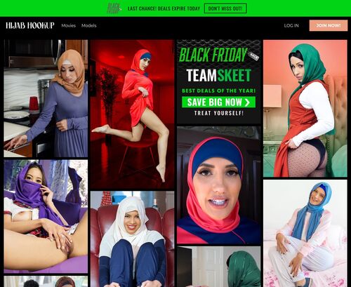 A Review Screenshot of Hijab Hookup