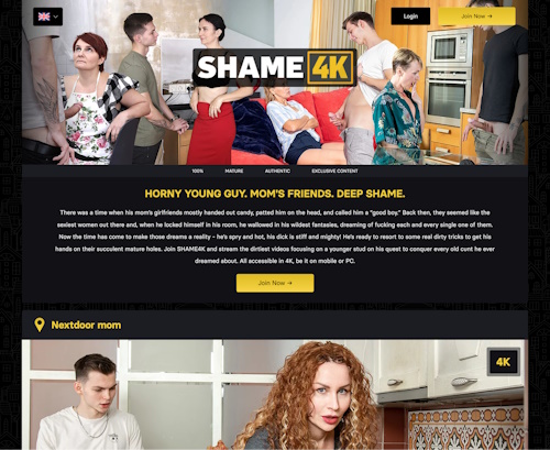 A Review Screenshot of Shame 4K