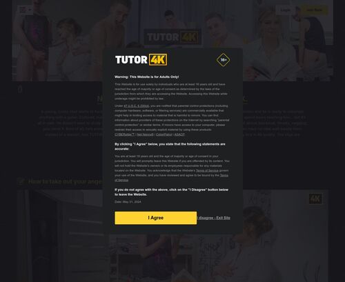 A Review Screenshot of Tutor 4K