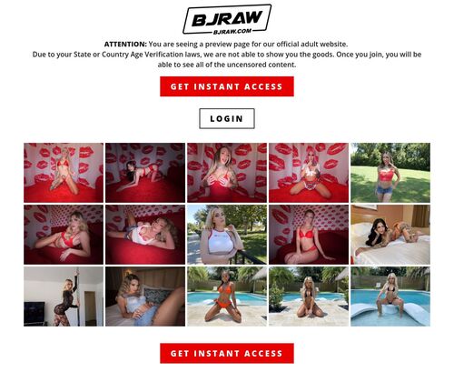 Review screenshot bjraw.com