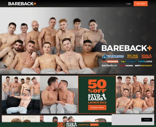 A Review Screenshot of Bareback Plus