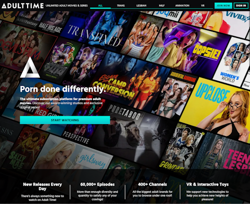 A Review Screenshot of Adulttime