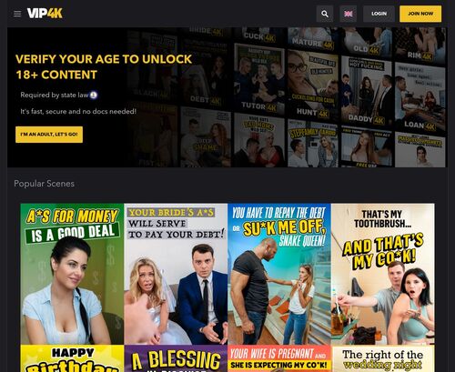A Review Screenshot of VIP4K