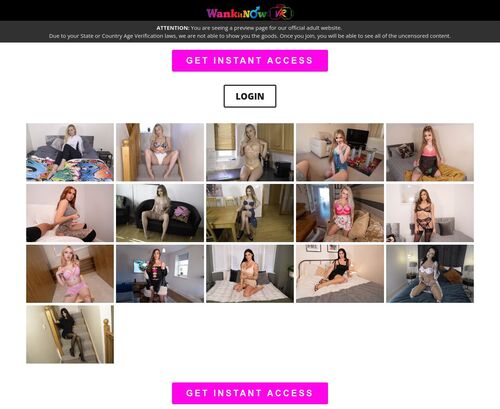 A Review Screenshot of Wank It Now VR