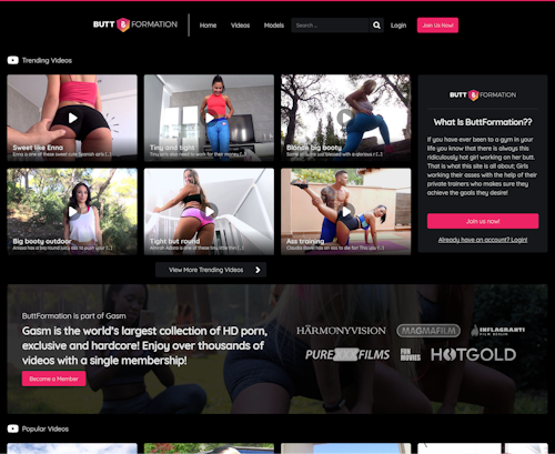 A Review Screenshot of ButtFormation
