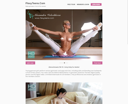 A Review Screenshot of Flexy Teens