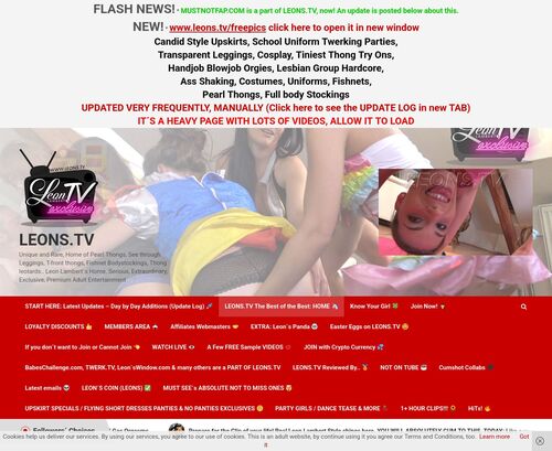 A Review Screenshot of Leons.tv